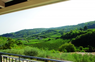 vista